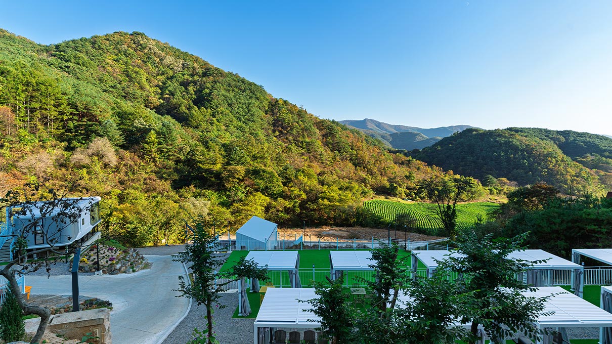 슬라이드 이미지10