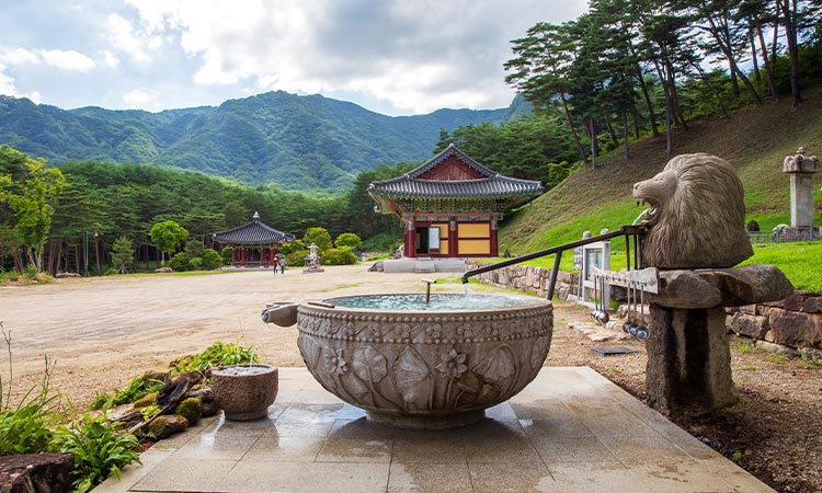 영월 10경 - 제9경 법흥사